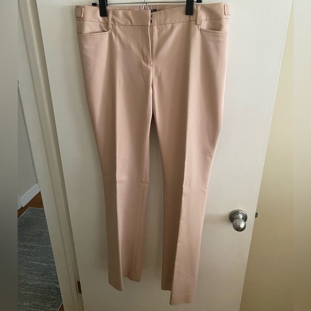 Express Columnist Dress Pants